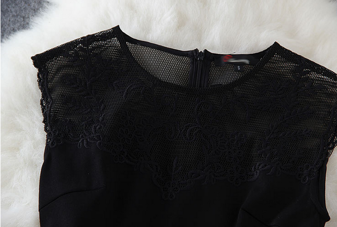 Stylish Stitching Embroidered Gauze Dress-black on Luulla